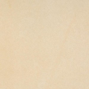 Gạch lát sàn Trường Thịnh NATURSTONE BE66112